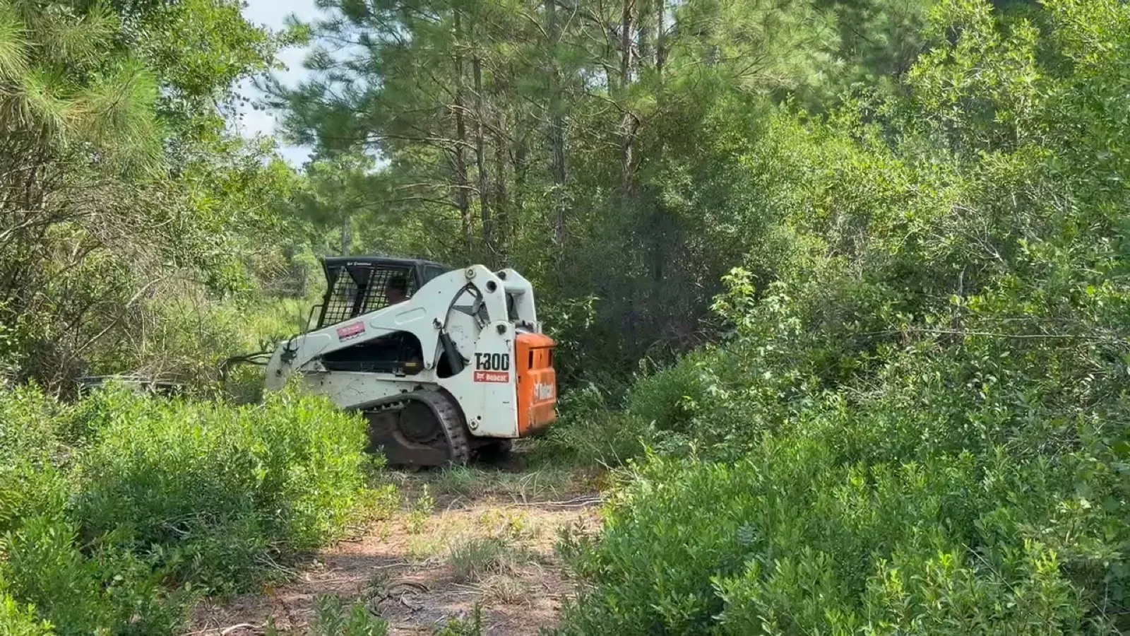 Brush Clearing in Longs, SC