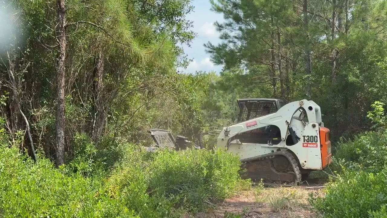 Land Clearing in Whiteville, NC