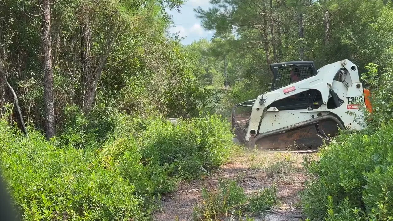 Land Clearing in Murrells Inlet, SC