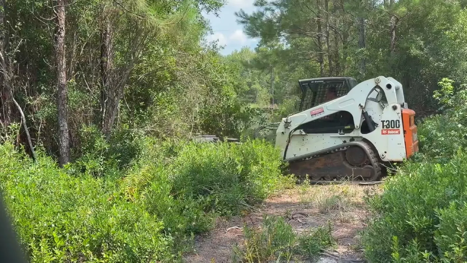 Land clearing and forestry mulching in Tabor City, NC