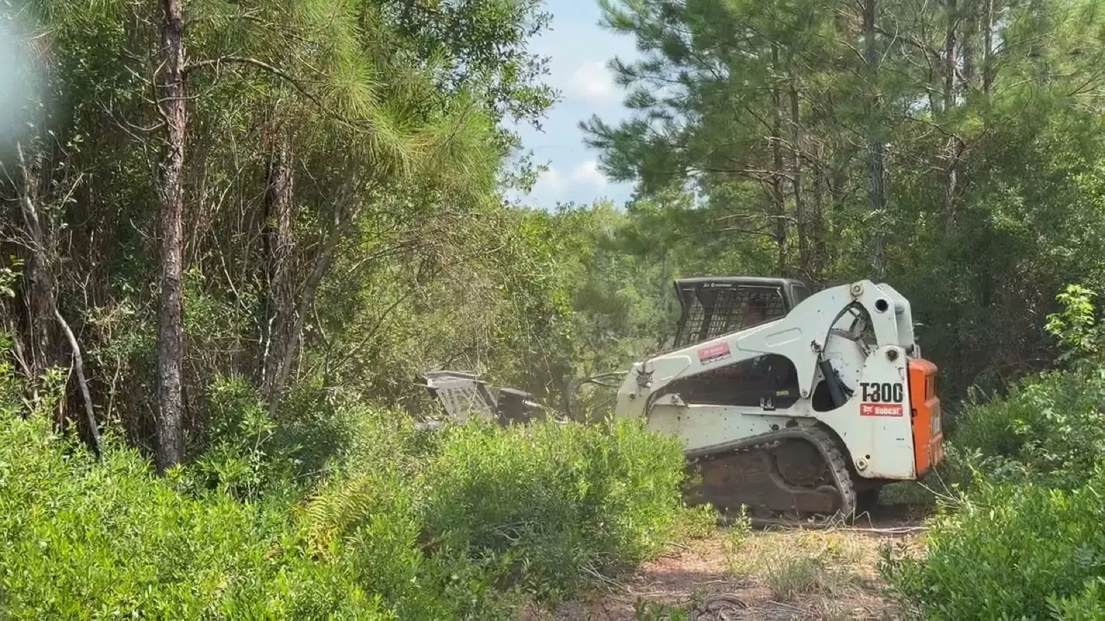Fence Line Clearing in Longs, SC
