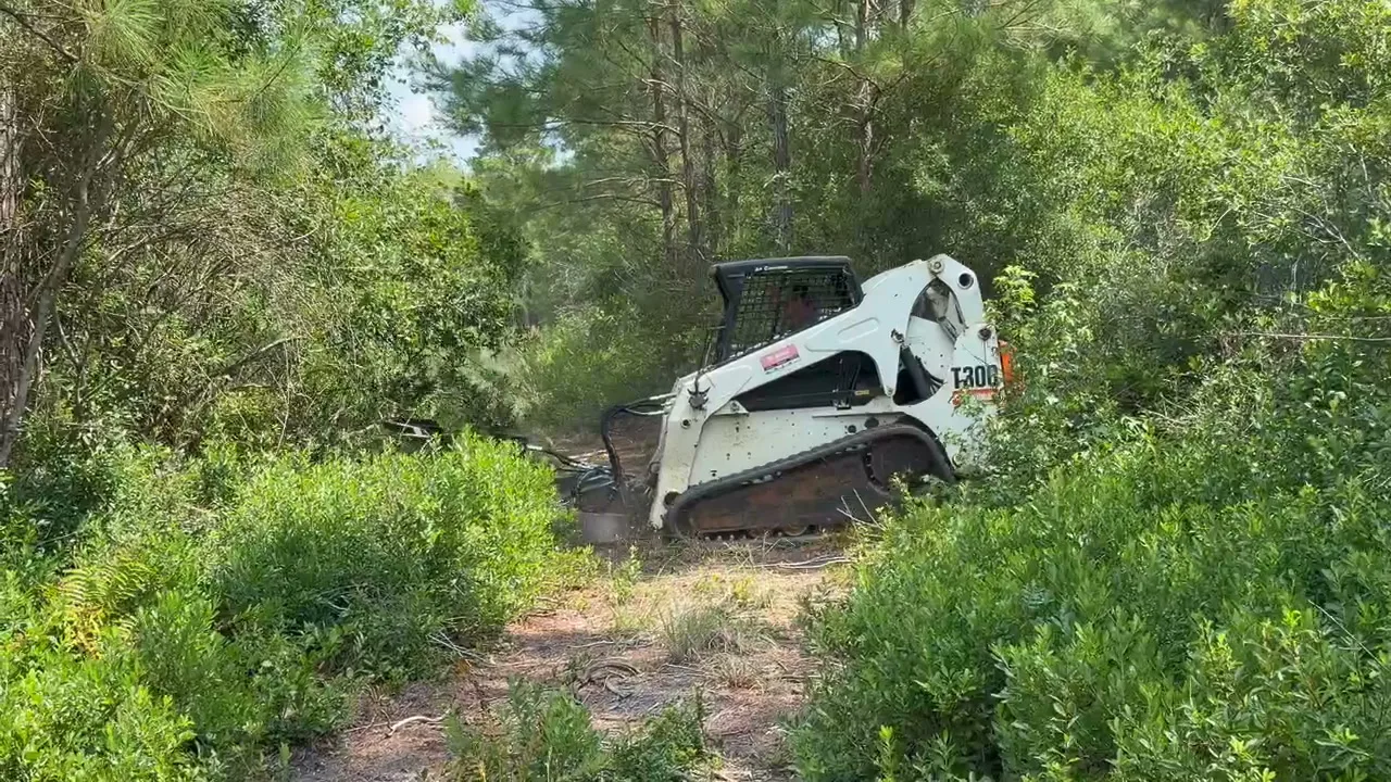 Forestry mulcher working down a narrow strip between walls of brush, the same kind of pass that opens an overgrown fence line