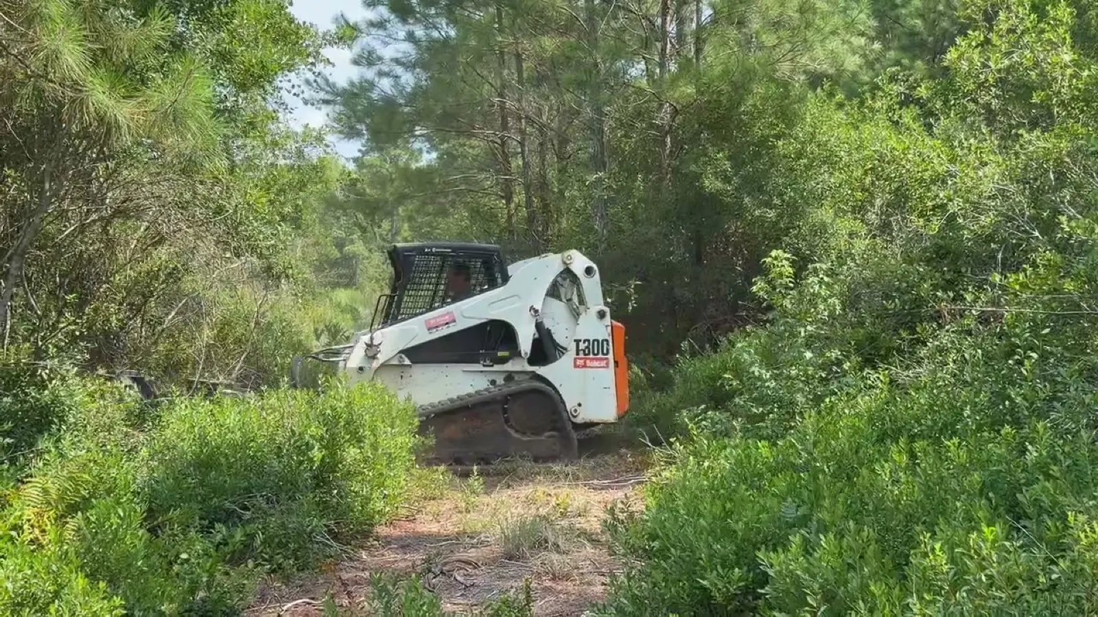 Forestry Mulching in Longs, SC