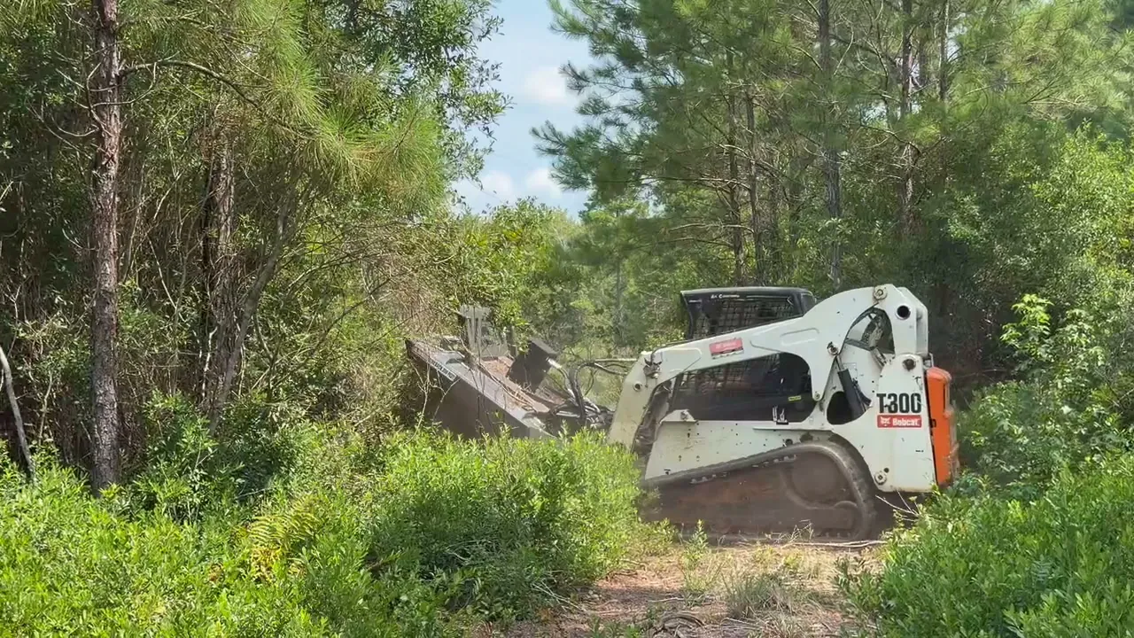 Land Clearing in Georgetown, SC