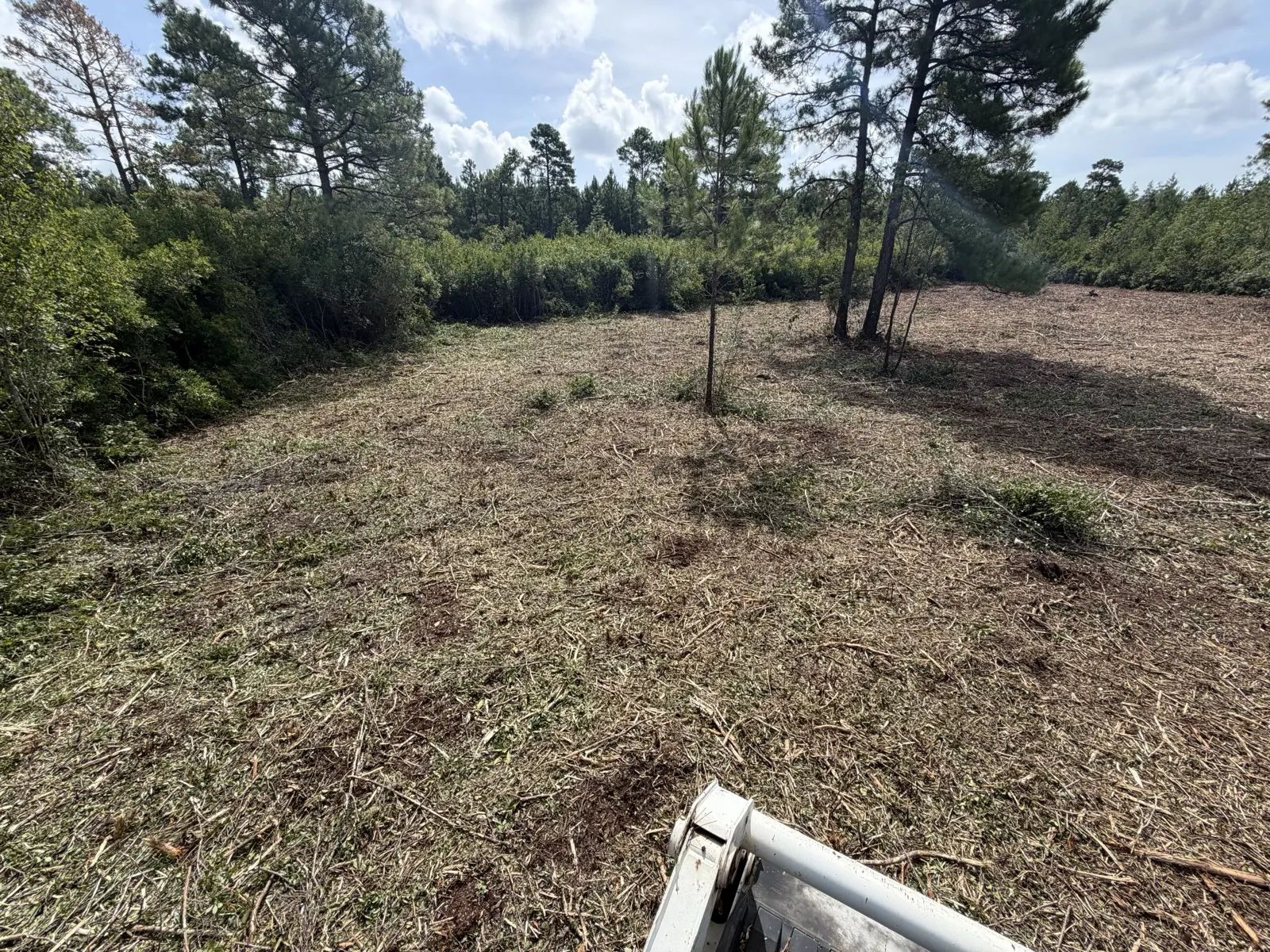 Open mulched ground after land clearing in Longs South Carolina