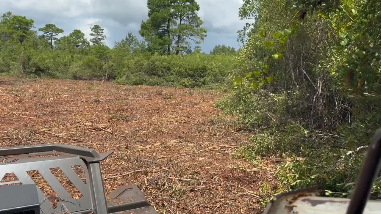 Freshly mulched field seen from the cab of a Bobcat T300 after a forestry mulching pass in South Carolina