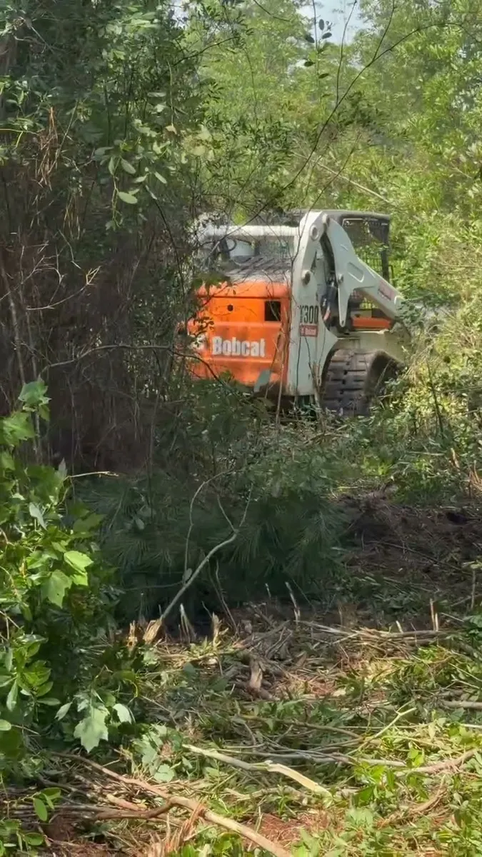 Forestry mulcher head grinding brush into chips on a South Carolina property