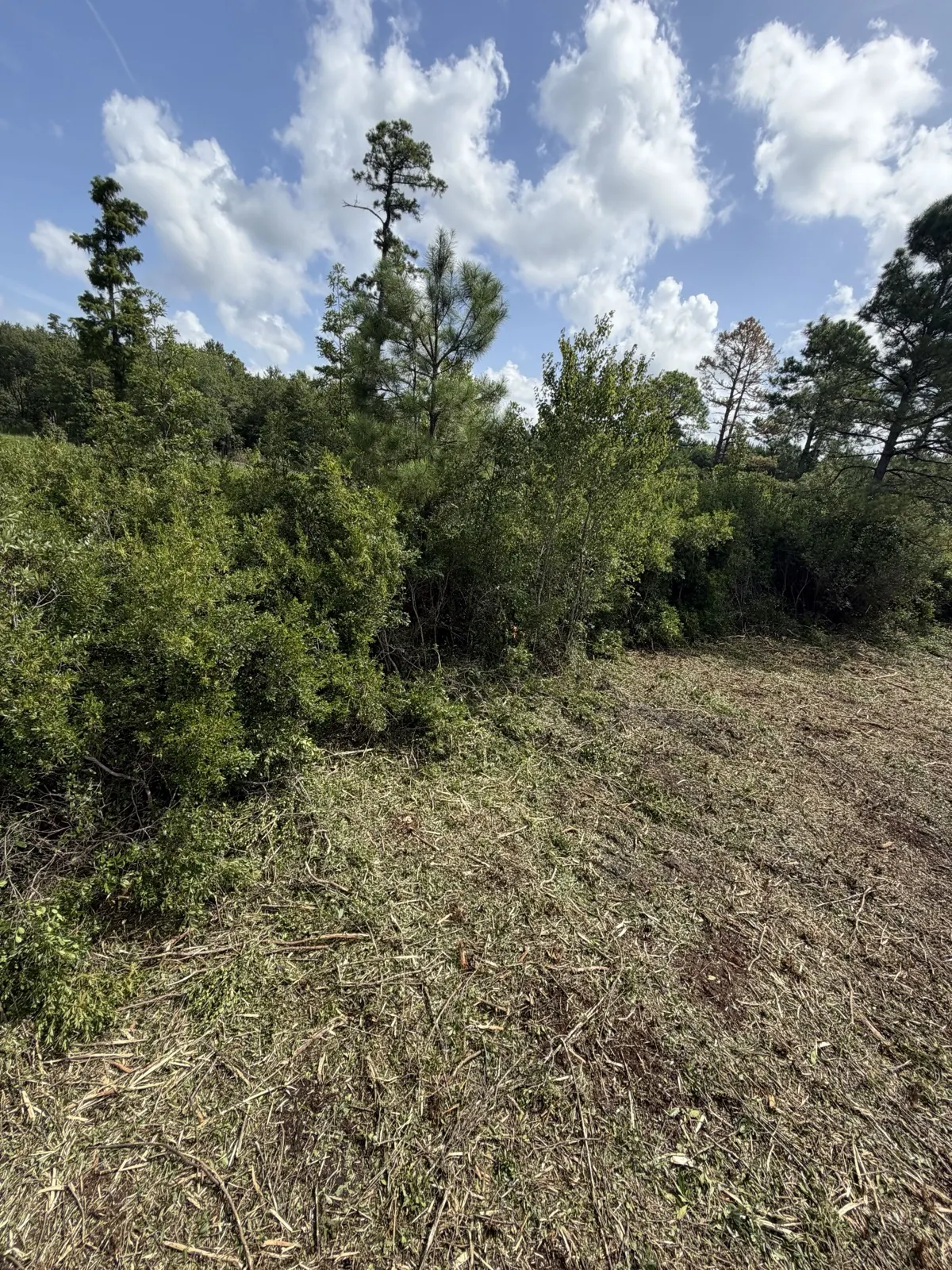 Lot Clearing in Longs, SC