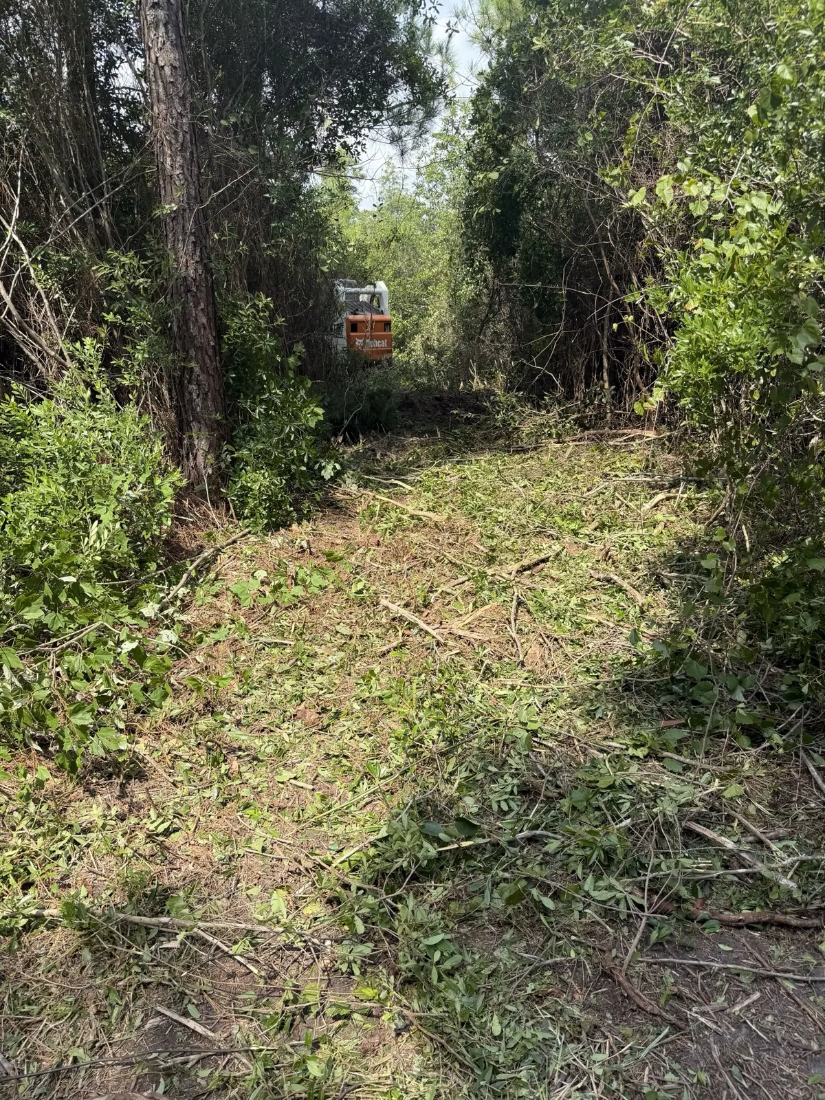 Trail cut through woods by the forestry mulcher in South Carolina